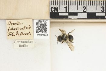 Media type: image;   Entomology 790573 Aspect: Labels